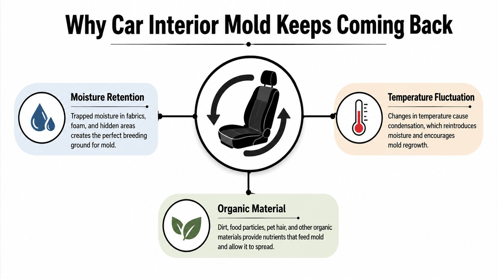 An infographic illustrating three key factors that cause car interior mold: moisture retention, temperature fluctuation, and organic material.