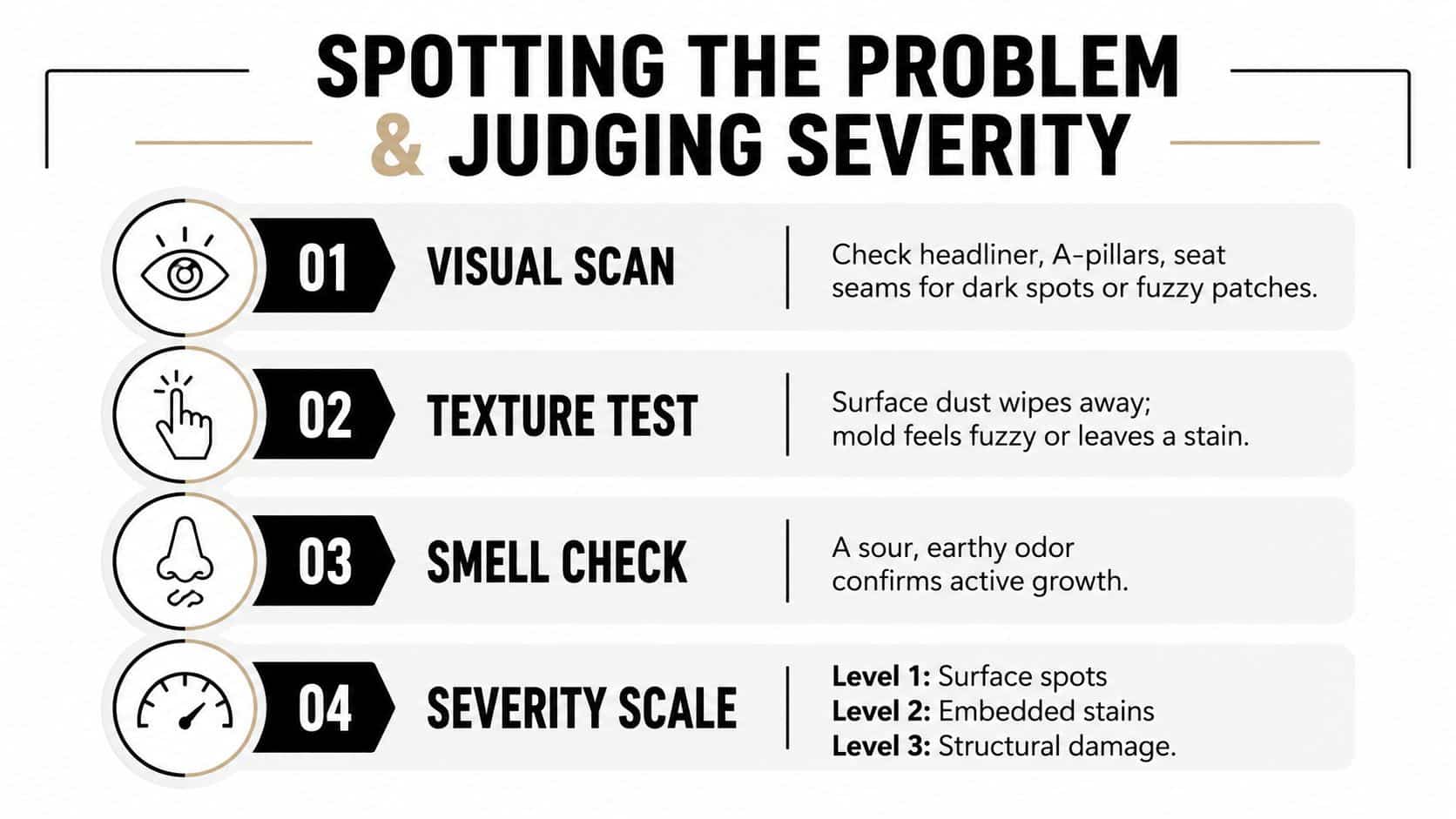 An infographic titled Spotting The Problem and Judging Severity detailing four steps to detect car interior mold.